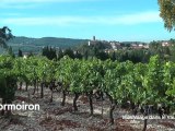 Jour 5 dans le Vaucluse : Carpentras et dernière dégustation