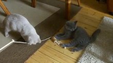 Magda+Sava 003