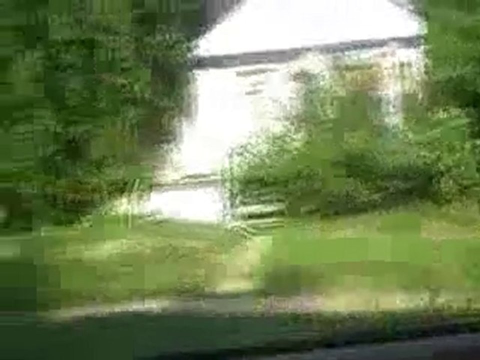 Let’s go neighborhood looking!