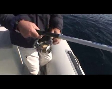 mercan avı-yunan adalar 1