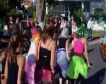 Le dfil carnavalesque de beaurains de septembre 2012