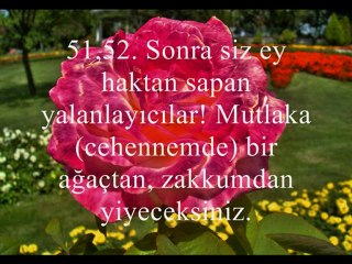 EBUBEKİR ŞATIRİ  Vâkı’a SURESİ