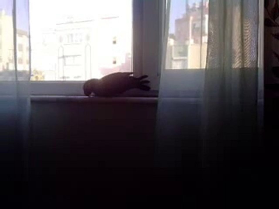 V170910_17.40