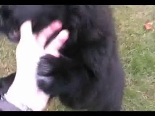 Per-David & Lille-Bengt