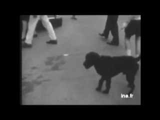 jimmy hendrix à paris   1967  (Ina) merci libé..