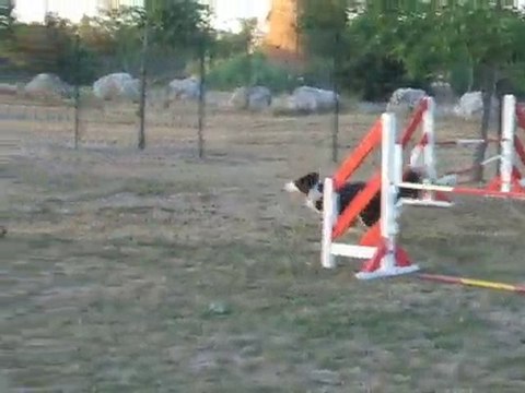 Tempo module Entrainement Mardi 14 septembre 2010