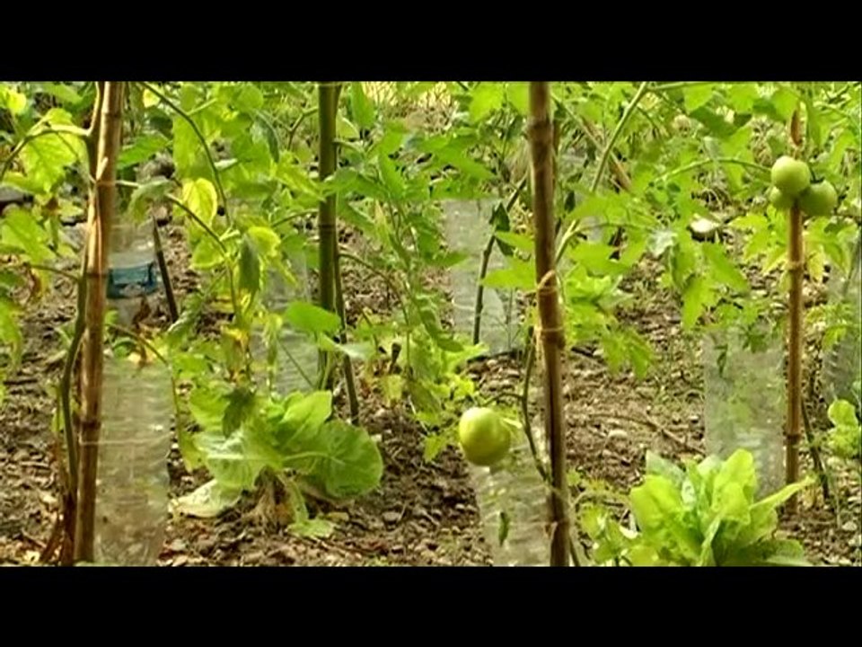 Voisins rencontres et jardins cachés