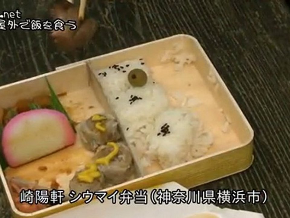 ひとり屋外で飯を食う シウマイ弁当（崎陽軒／神奈川県横浜市）