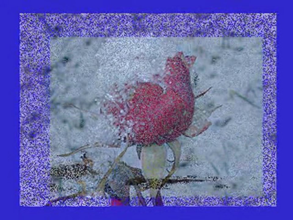 Sebastien parmi les Hommes