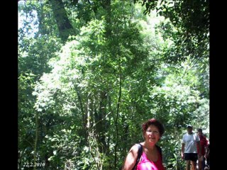 brazil argentina 15.2-3.3.10