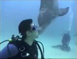 Motivational WebTV #19 Clint Cora Scuba Diving With Dolphins