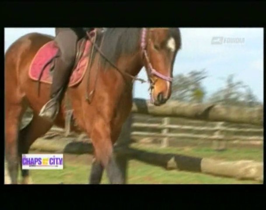 Les_ecuries_du_Mont_Verdun_sur_Equidia