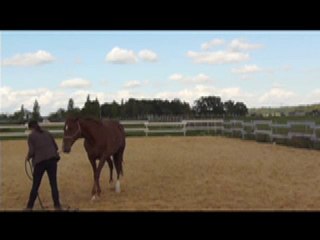 Flexions d'encolure à pied_17 septembre 2010