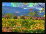 Sonoma Wine Tours | Napa Valley Wine Tours | Elite Limousine