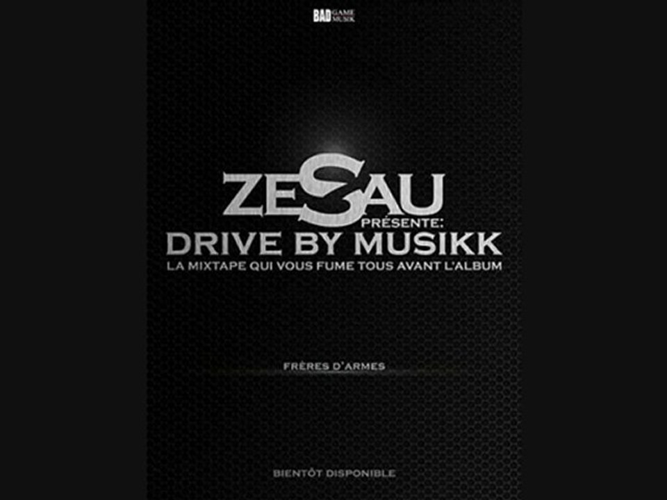 Zesau      casque intégral