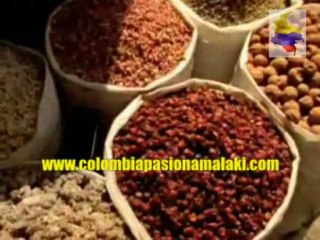 Zrii en Colombia /Las Estrellas se Alinean en Español