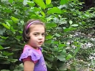 GÜNEYSU/RİZE GÖRÜNTÜLERİ