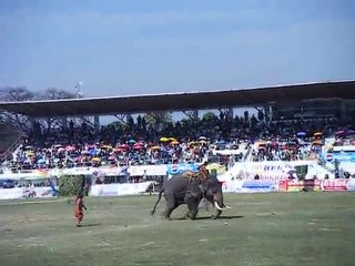 Strong like an elephant