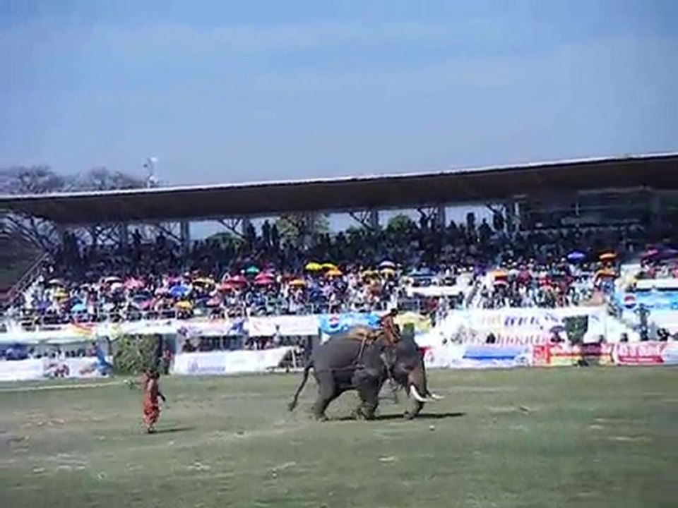 Strong like an elephant