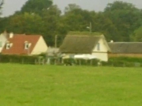 dixie entrainement troupeau du 15/09/2010