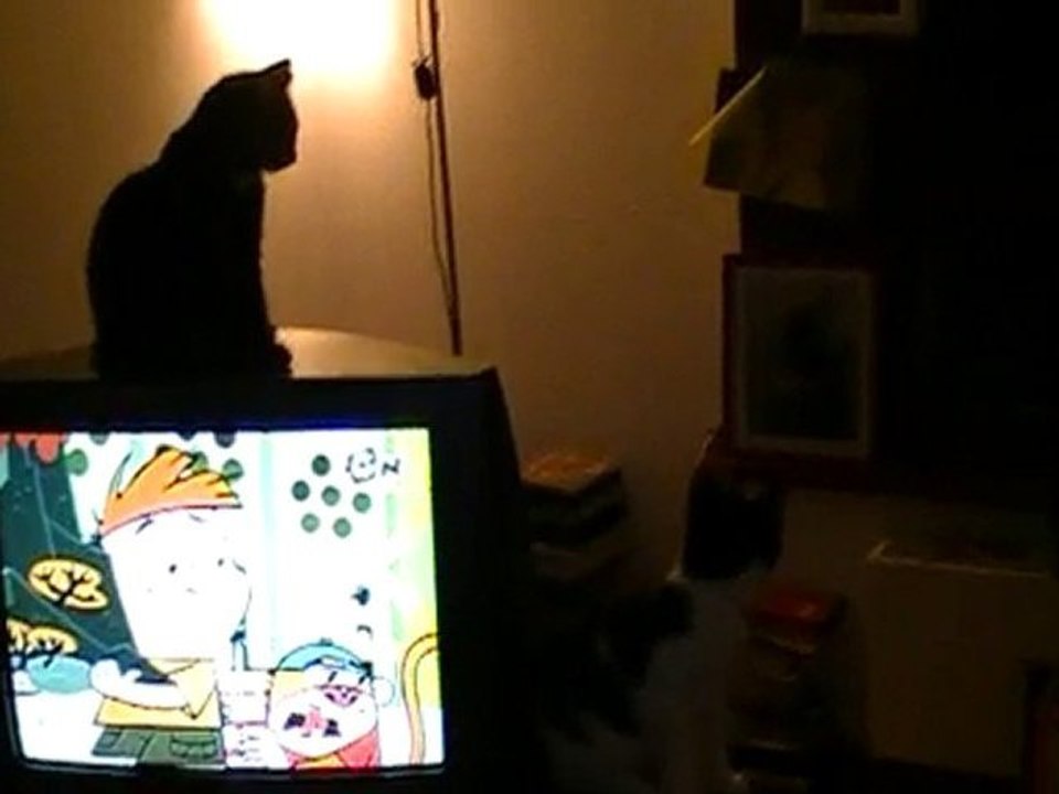 MOV03a