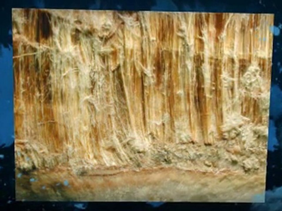 Asbestos Testing New Hampshire