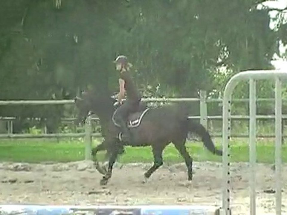 Naide septembre 2010