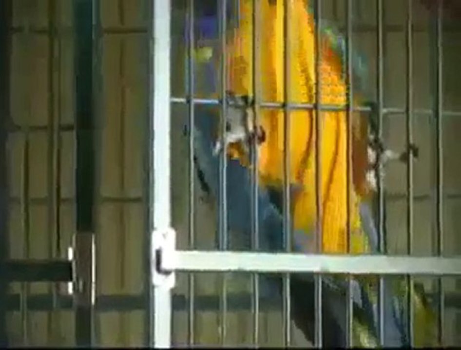 Saniye Saniye Kacis Anı