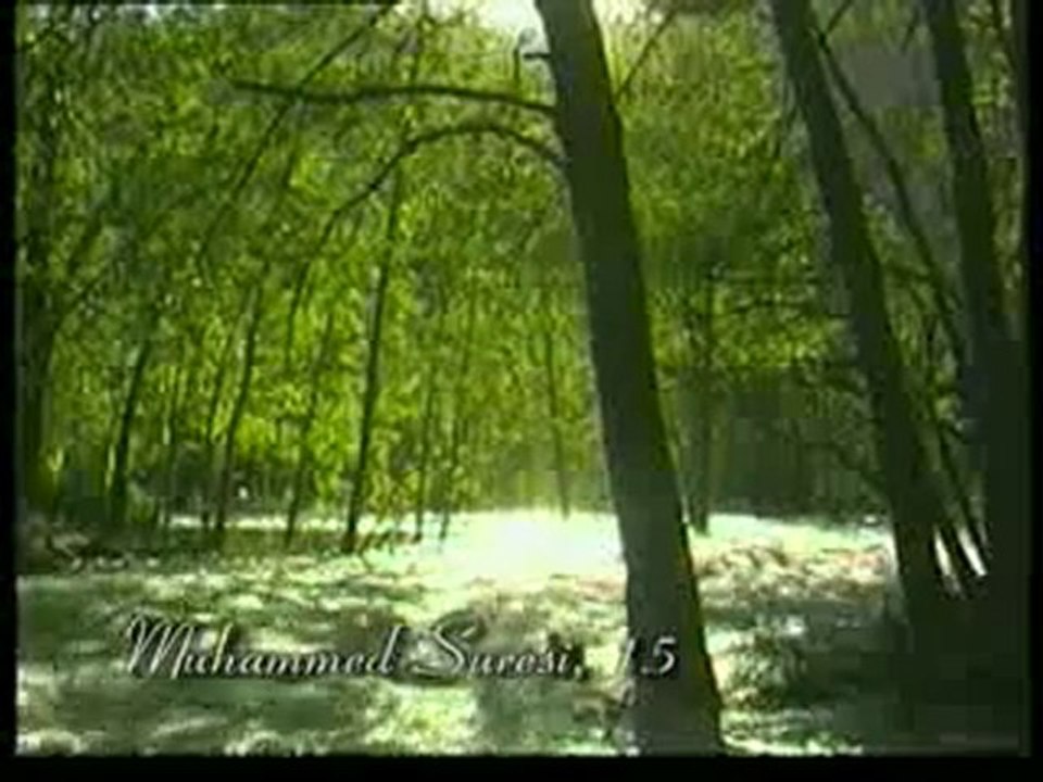 Kuran Meali: Muhammed Suresi 7-19