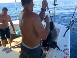 Bluefin tuna double strike