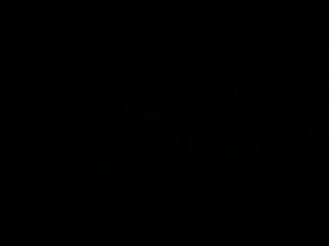 CHIOT MALINOIS DE 6 MOIS A L'ENTRAINEMENT DE RING