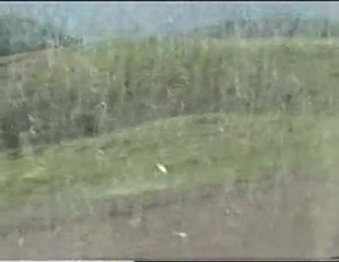 KARER TIRŞO VE YONCALIK