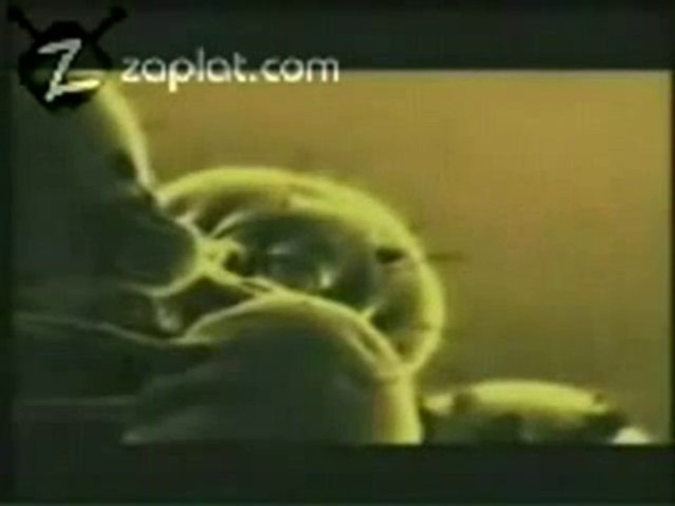 flv1