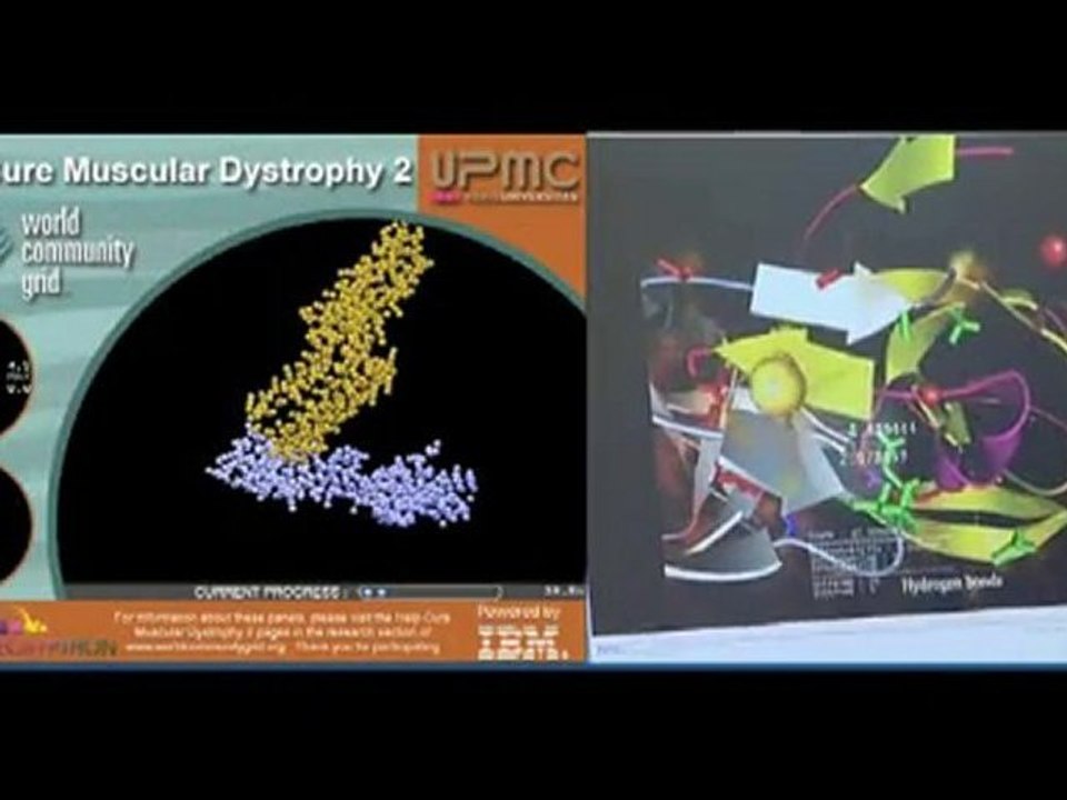 Alessandra Carbone, femme scientifique de l'année