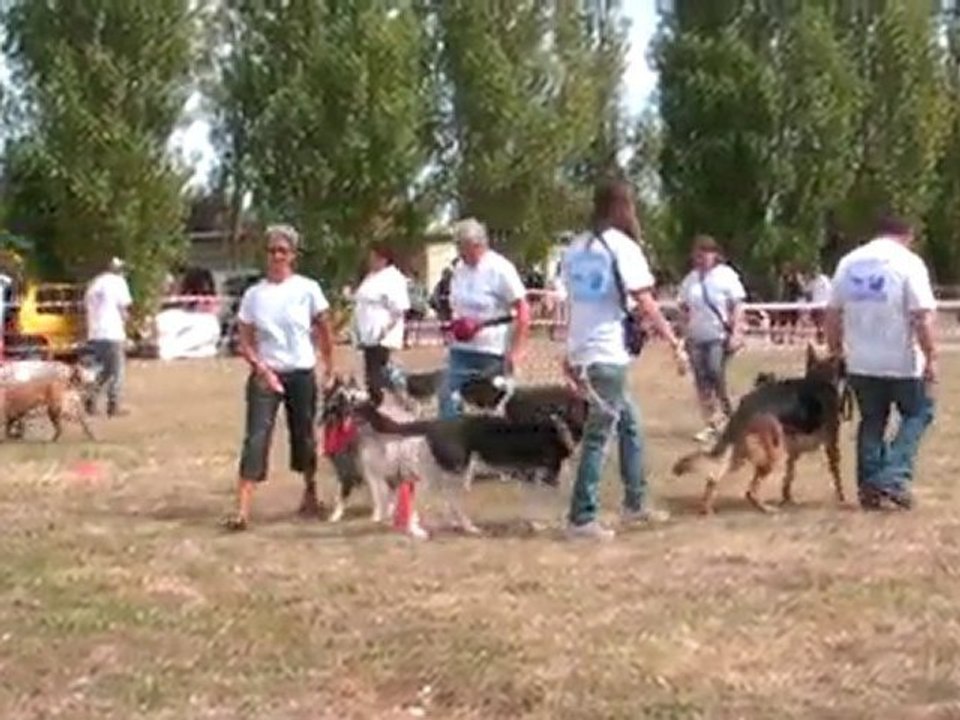 1er passage du carrousel 2010, 2ème partie