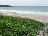 Location maison le diamant Martinique, les pieds dans l'eau