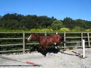 Saut lib Saraconor