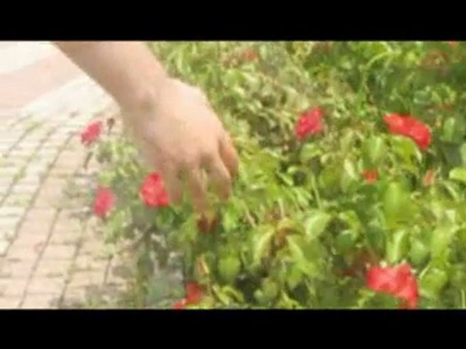 Acayip bi film!