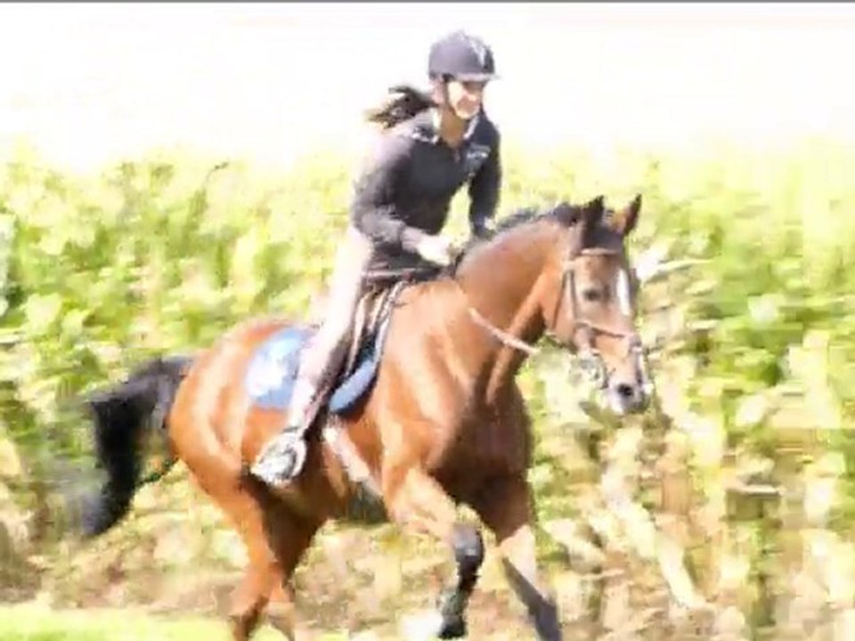 séance de plat : 18 septembre 2010