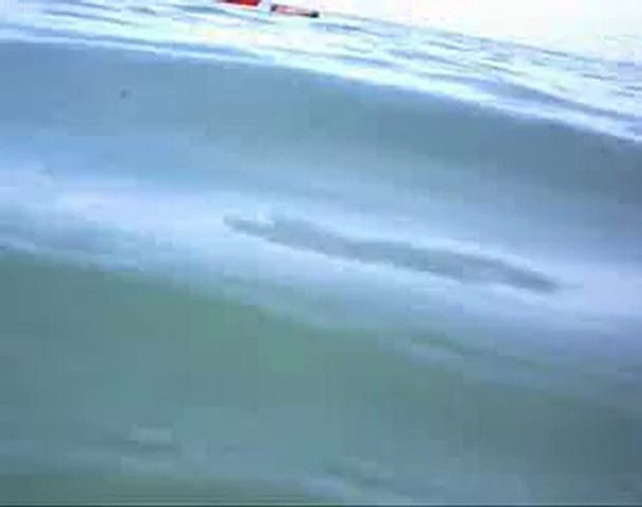 Penvins - morgate - n°3