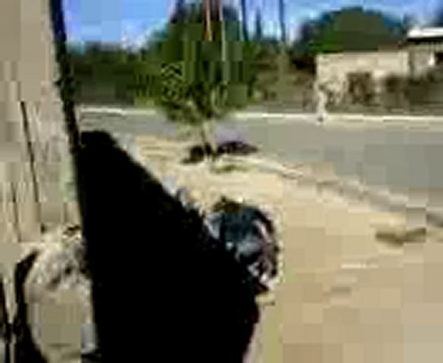 CAIDA PAVA