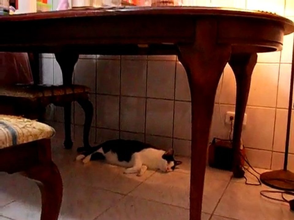 Joe se cache