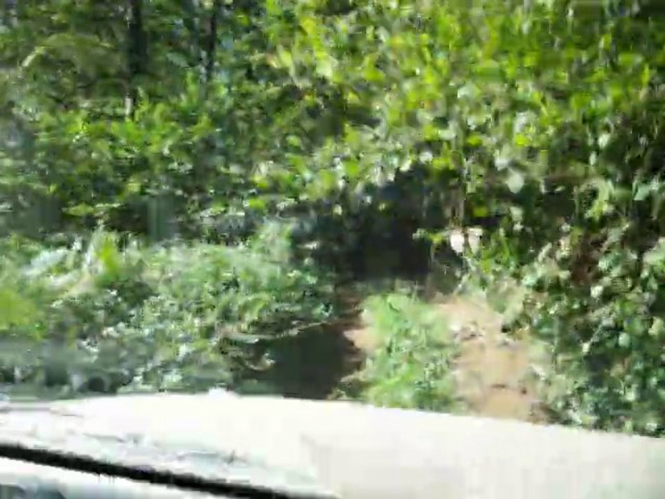 Monique Mitsubishi Pajéro Rando Allier 2010 IM91mpg