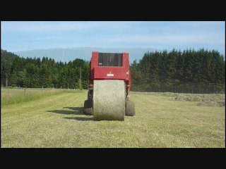 Pressage du foin / Pressing of hay