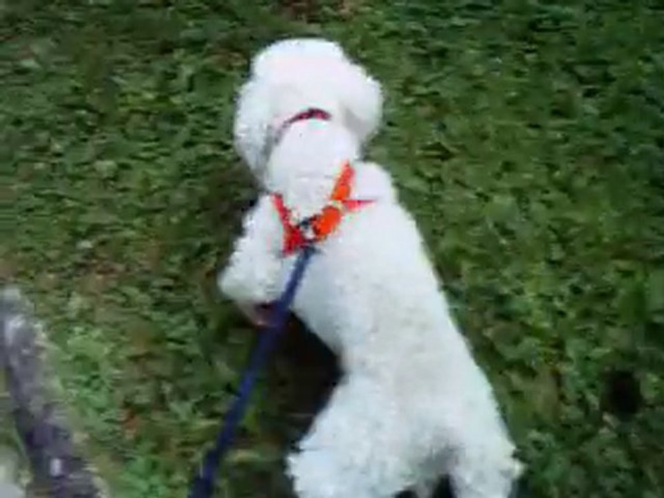 Patricia - Lana 18 septembre 2010