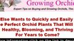 Growing Orchids - Orchid Care Made Easy - Discover the simpl