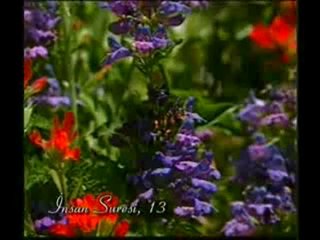 Kuran Meali: İnsan Suresi 1-22