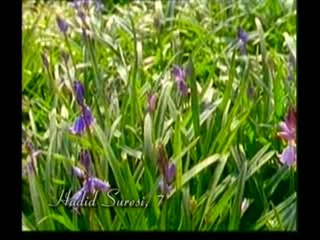 Kuran Meali: Hadid Suresi 1-10