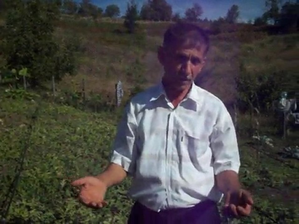 karapınar zonguldak