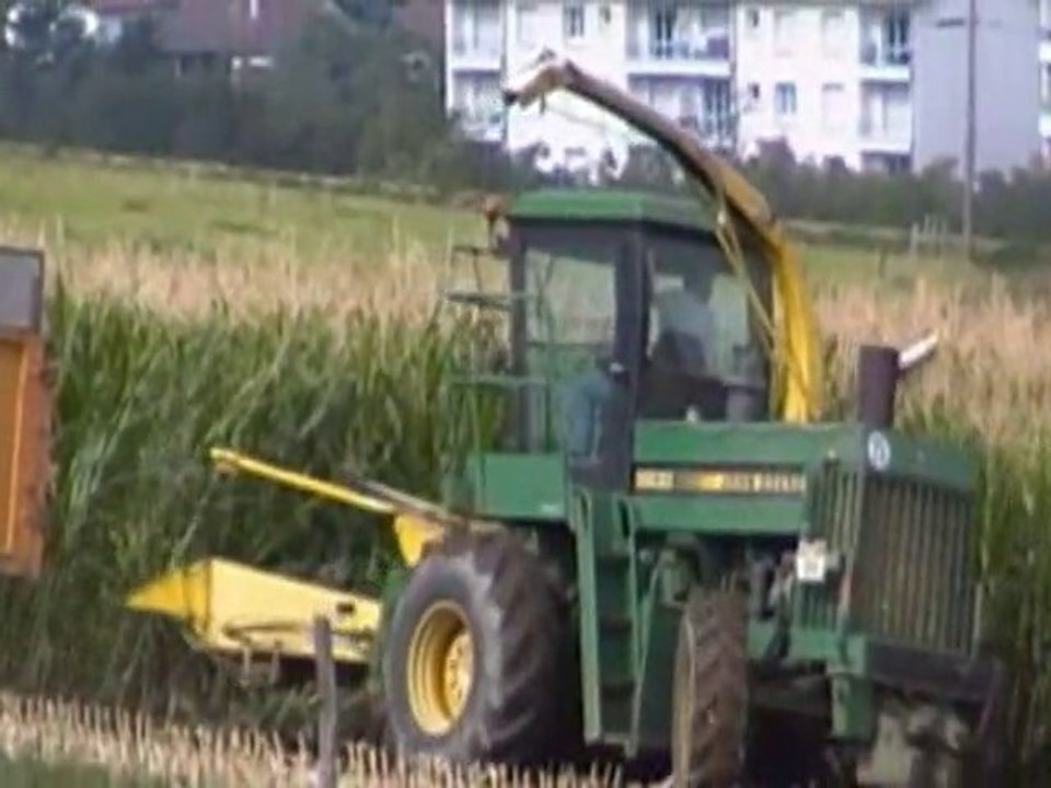 ensilage maïs